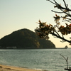 サクラと鹿島と恋心と!(^^)!