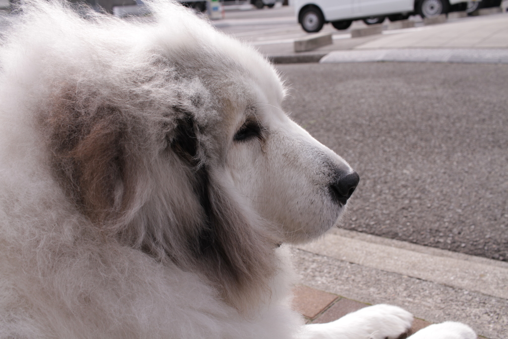 春日和＠2019-03-20