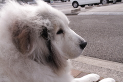 春日和＠2019-03-20