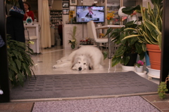 今日もいつも通り