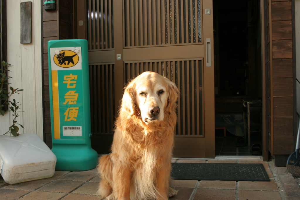 お宿番してる営業本部長みゅうちゃん
