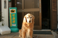 お宿番してる営業本部長みゅうちゃん