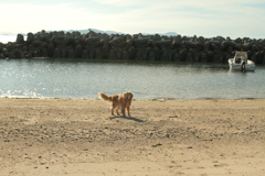 みゅうちゃん＠北条水軍ユースホステル