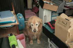 フィルムイオスキスに付属の標準ズームで写してみる