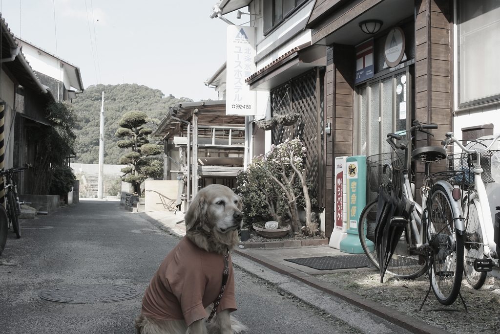 今日もみゅうちゃんと駅に散歩に行く