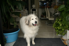 平成最後の日のココさん