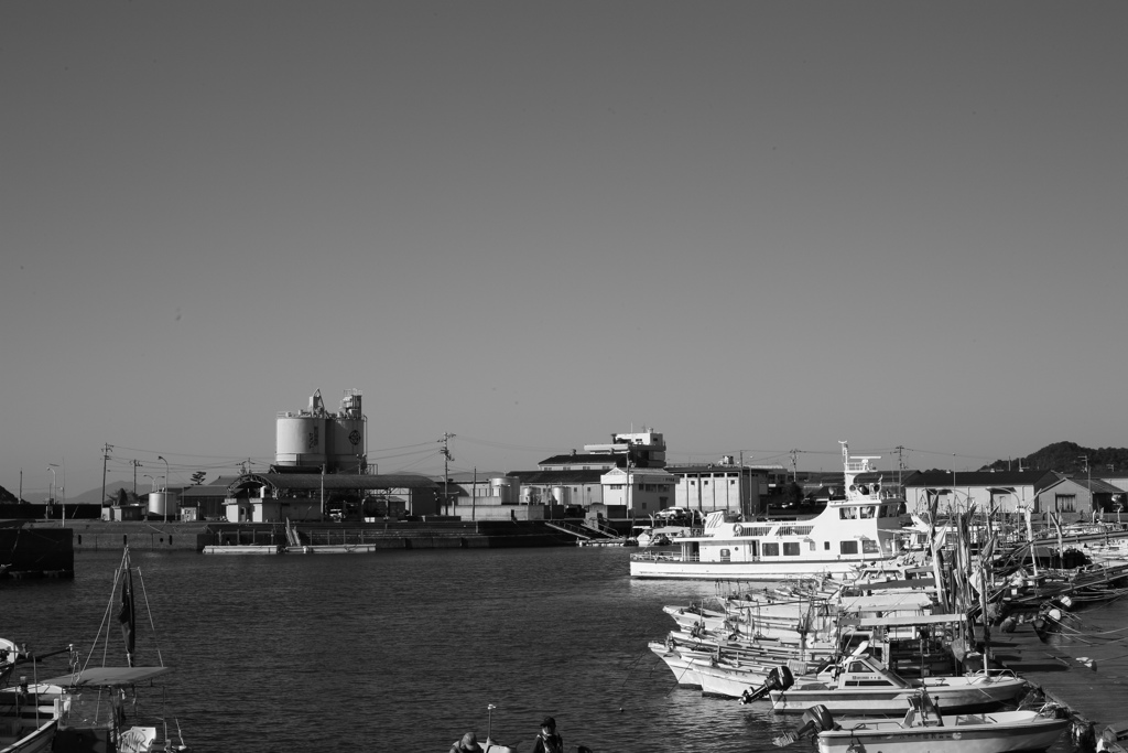 レンズの違いもあるんだろうけど、フルサイズって写りますな　!(^^)!