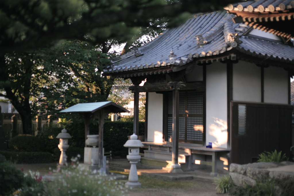 ＠2020‐07‐01朝