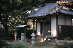 ＠2020‐07‐01朝