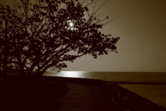 ええかっこしいの写真