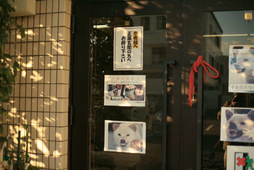 危犬ナナちゃん