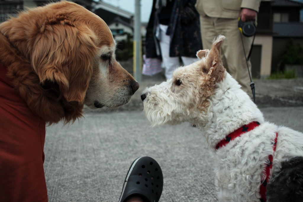 みゅうちゃんとルビちゃんって言ってたかな
