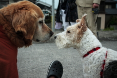 みゅうちゃんとルビちゃんって言ってたかな