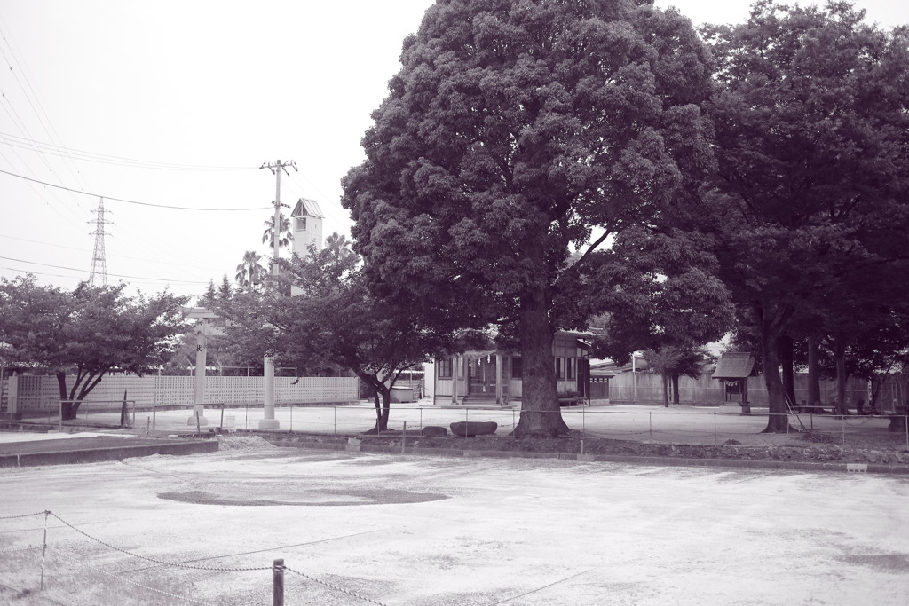 朝＠2020‐08‐03