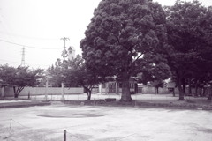 朝＠2020‐08‐03