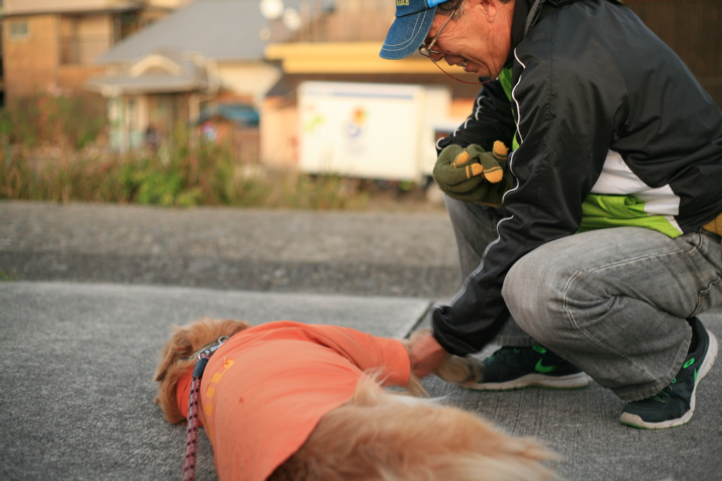 かわいがってもらうみゅうちゃん