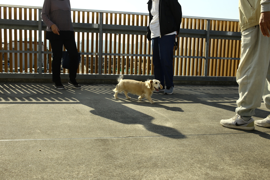 ソラちゃんだったかな？？