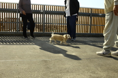 ソラちゃんだったかな？？
