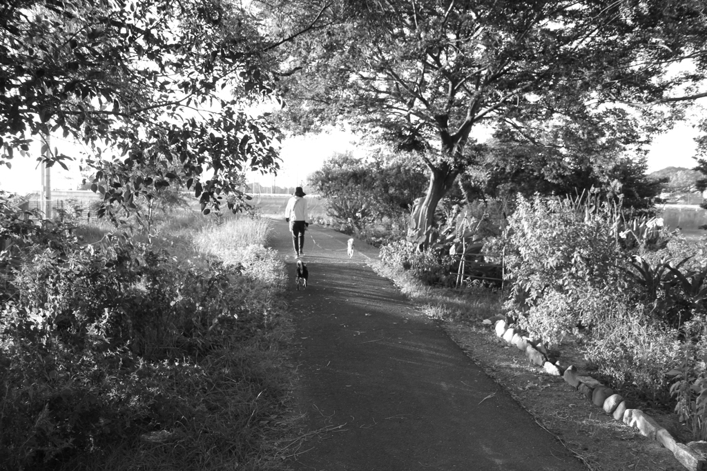 おニューのレンズでモノクロで写すという暴挙