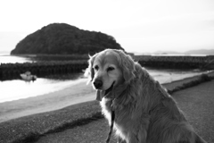 みゅうちゃんと散歩