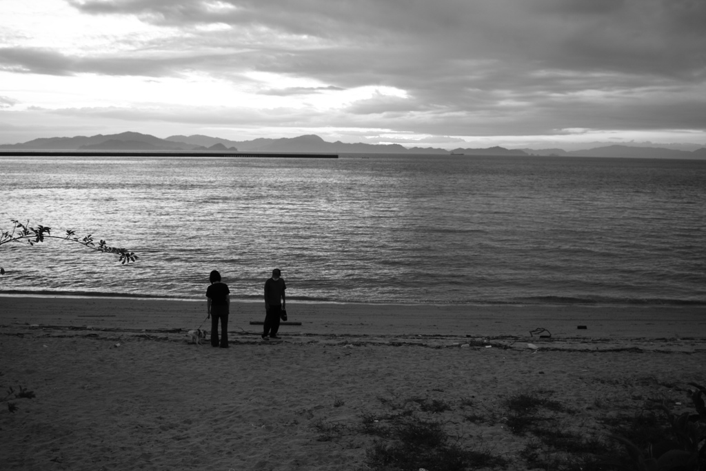 散歩してるプルちゃんご一行　モノクロ