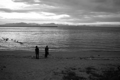 散歩してるプルちゃんご一行　モノクロ