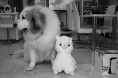 ココさん＠2019-07-02