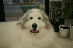 ＠2021‐08‐04