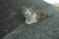 ＠2021‐04‐19