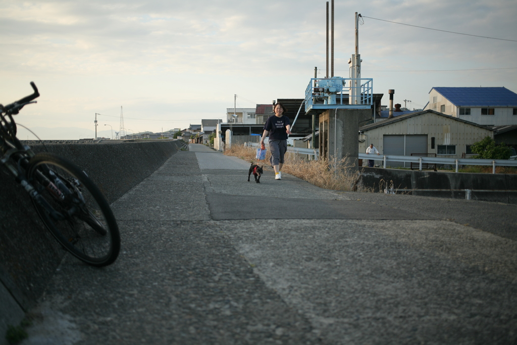 散歩してるチロル