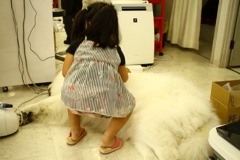 ココちゃんはもふもふ