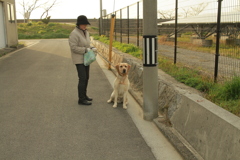 はしゃぐ寸前のサーブ