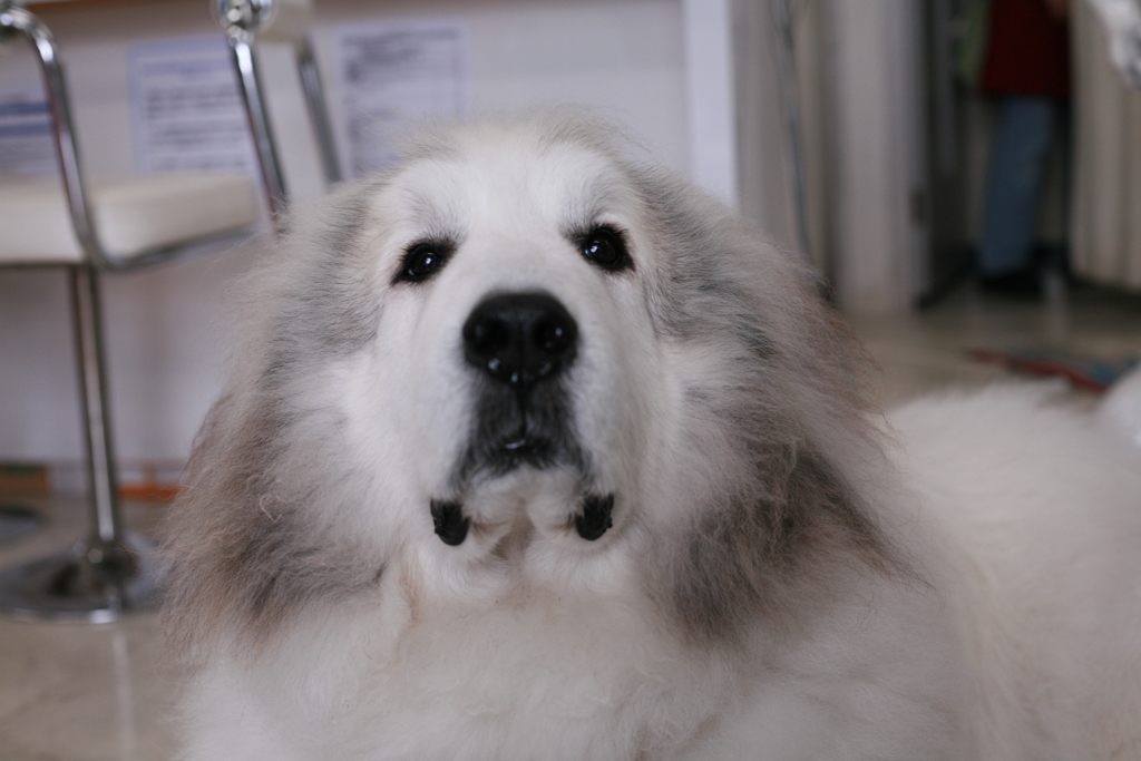 月曜朝のココさん