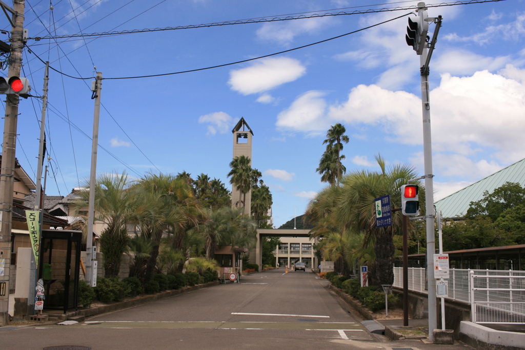 Eos30D全く問題ないですな　!(^^)!