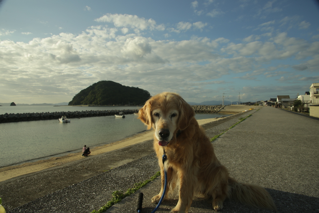 みゅうちゃんと散歩
