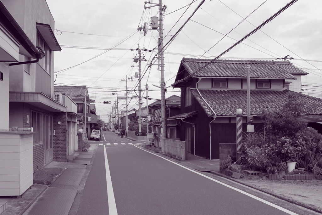 道端に小さな花が咲いている　それを幸せと感じたい