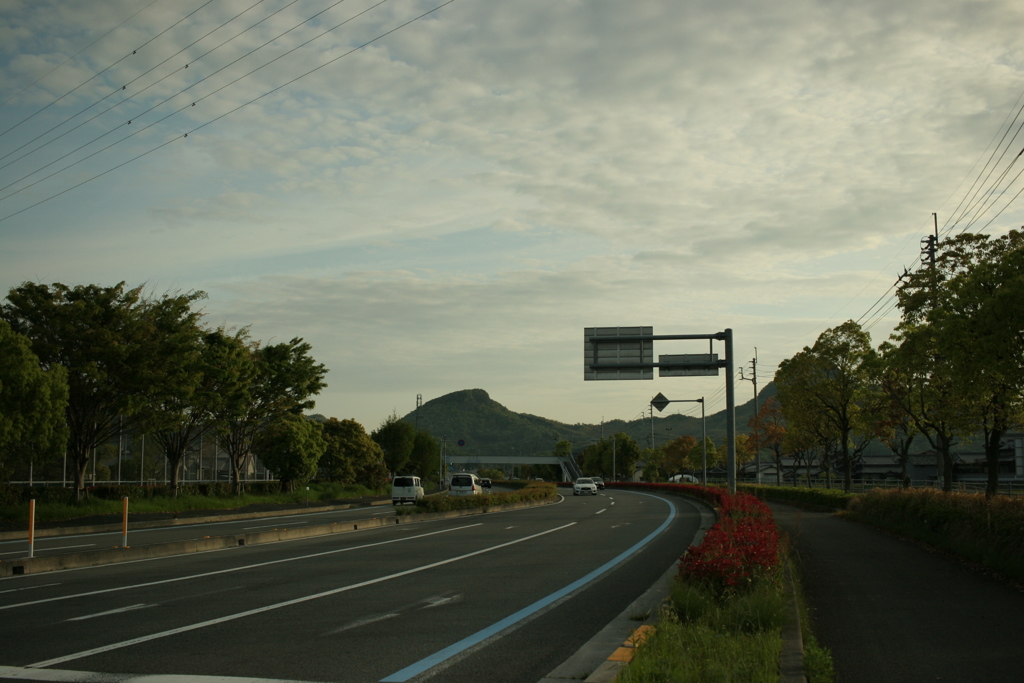 いつも通りの朝