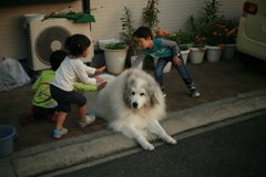 ちょっとだけタッチ