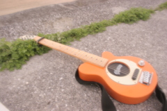 浜でビンビン