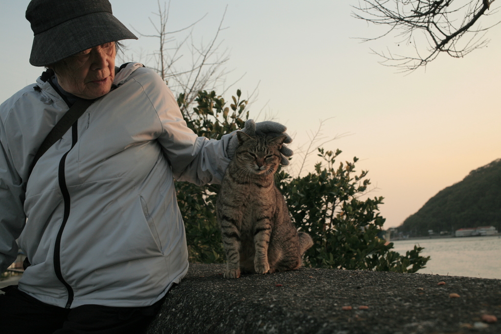 ミーちゃんと横山さん
