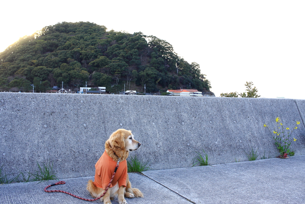 昨日の写真　RAW現像でカラー