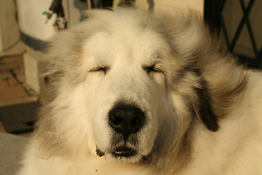 春日和＠2019-03-28