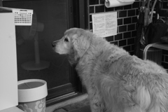 ＠2020‐07‐11　ホルガトイレンズにて