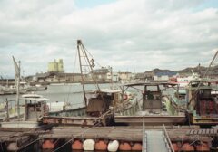 成人の日の朝　Trip35にて