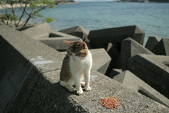 トム君は今日もお腹いっぱい