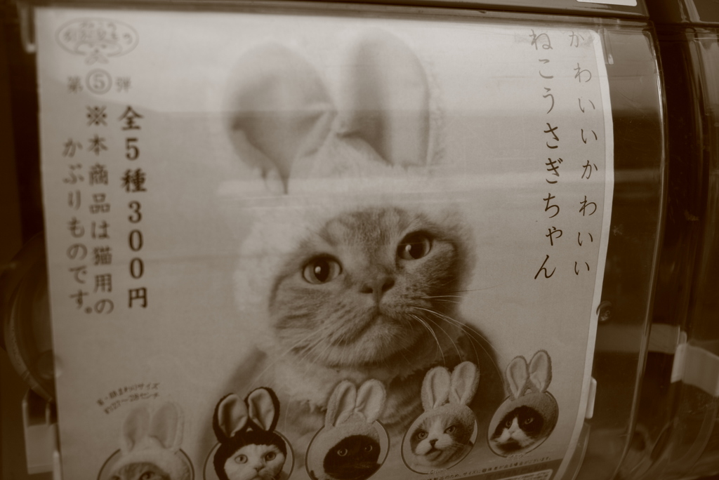 かわいいかわいいねこうさぎちゃん