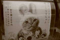 かわいいかわいいねこうさぎちゃん