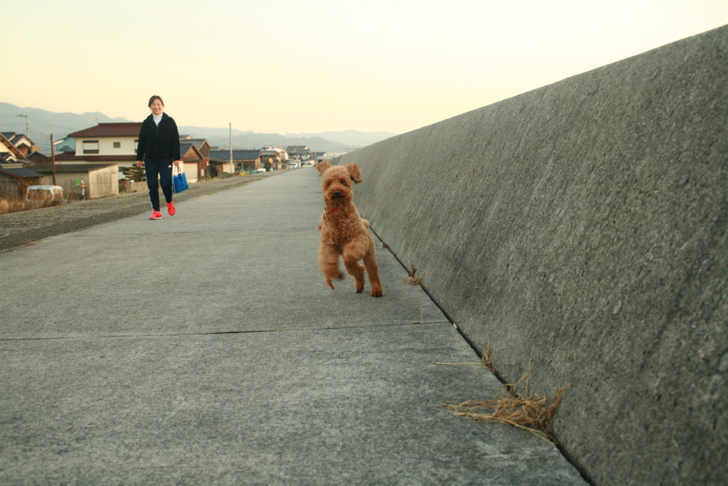 駆け寄ってくる大吾郎