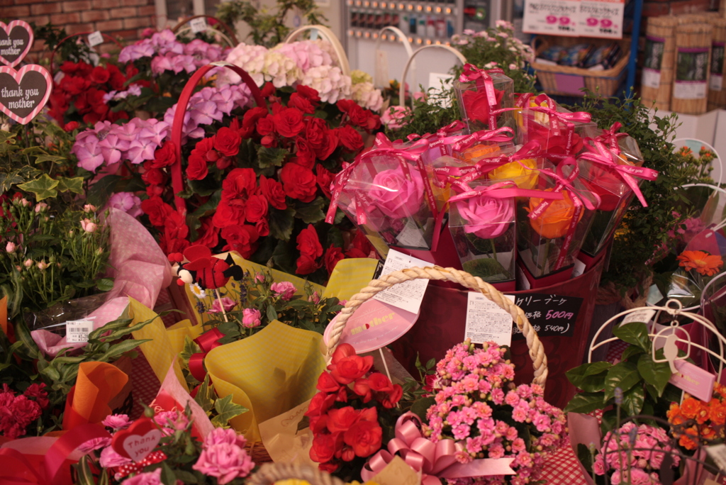 世間は母の日がどうとかで