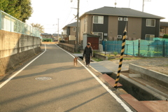 お母さんと散歩してるモクちゃん